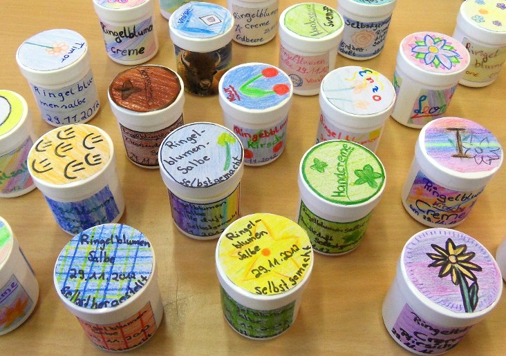 Ringelblumensalbe_im_Unterricht_herstellen